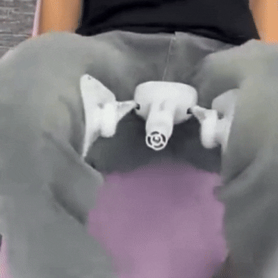 Pelvik kasları calisma videosu